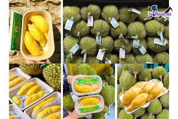 Top 5 cung cấp bán sầu riêng giá rẻ tốt chất lượng Vinh Nghệ An ngon ngọt (1)