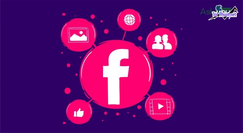 Top 5 dịch vụ tăng like giá rẻ chất Hạ Long Quảng Ninh nhiều ưu đãi cao