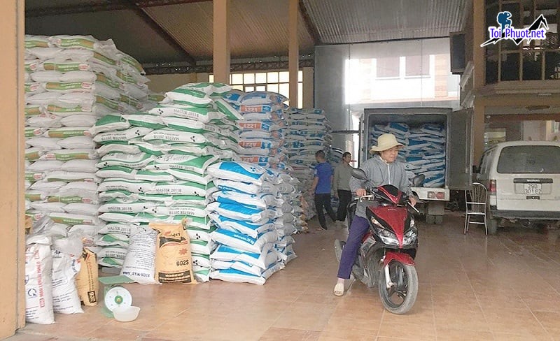 Top 6 bán thức ăn gia súc gia cầm Cần Thơ phù hợp (1)