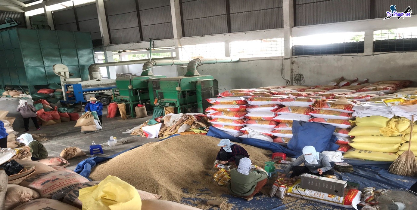 Top 6 bán thức ăn gia súc gia cầm Hà Tĩnh chất lượng cao nhất (1)