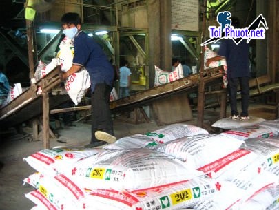 Top 6 bán thức ăn gia súc gia cầm Rạch Giá Kiên Giang mang thương hiệu uy tín (2)