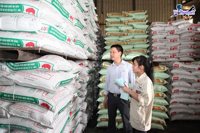 Top 6 bán thức ăn gia súc gia cầm Sóc Trăng hỗ trợ khách hàng 247 (1)
