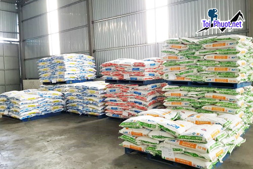 Top 7 bán thức ăn gia súc gia cầm Sài Gòn Hồ Chí Minh giúp tăng cân nhanh (1)