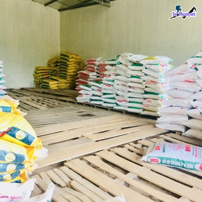 Top 7 bán thức ăn gia súc gia cầm Tuy Hòa Phú Yên phổ biến nhất