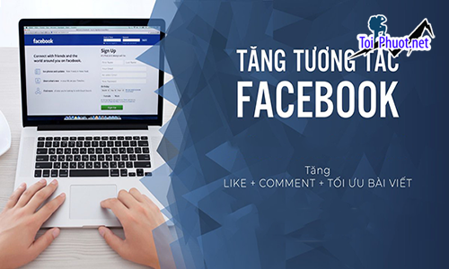 Top 7 dịch vụ tăng like giá rẻ chất Đà Lạt Lâm Đồng chất lượng nhất (1)