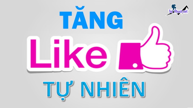 Top 7 dịch vụ tăng like giá rẻ chất Sài Gòn Hồ Chí Minh một giải pháp hữu ích (2)