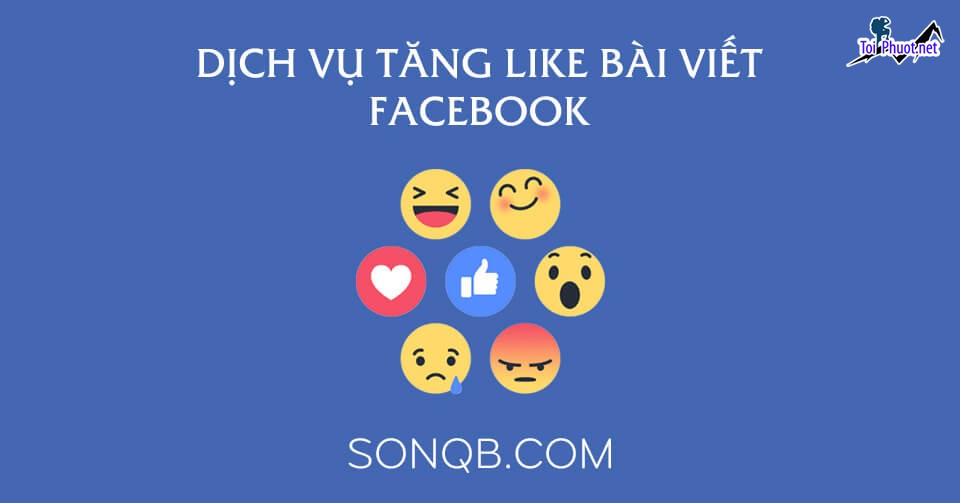 Top 7 dịch vụ tăng like giá rẻ chất Thái Nguyên giá ưu đãi