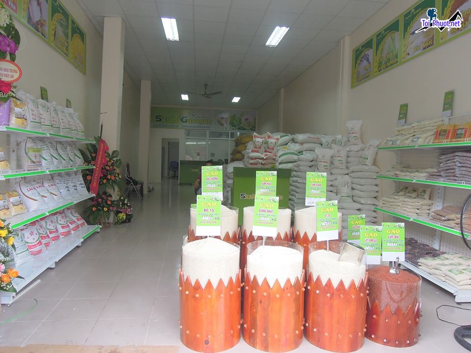 Top 8 cửa hàng gạo gần đây chất lượng Buôn Ma Thuột Đắk Lắk gạo sạch (2)