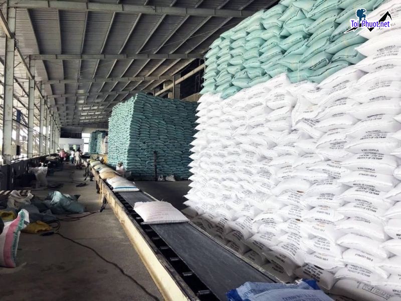Top 8 cửa hàng gạo gần đây chất lượng Buôn Ma Thuột Đắk Lắk gạo sạch (3)