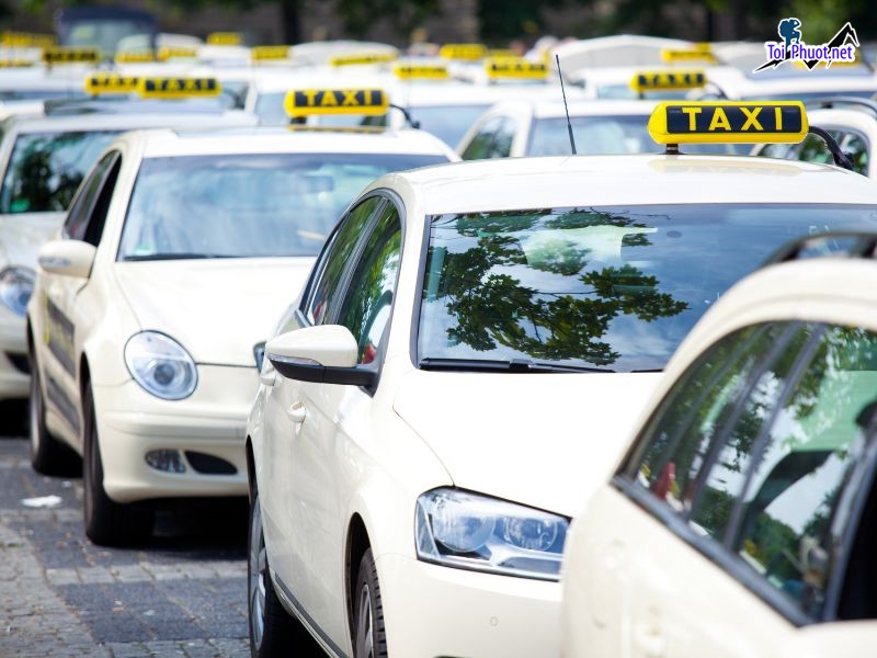 Top 8 Số điện thoại taxi giá rẻ xanh Tam Kỳ Quảng Nam uy tín nhất hiện nay (1)