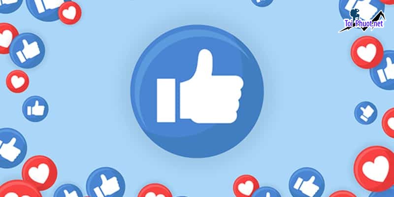 Top 9 dịch vụ tăng like giá rẻ chất Tam Kỳ Quảng Nam xu hướng mới nhất