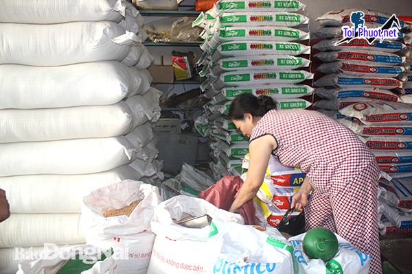Top bán thức ăn gia súc gia cầm Tuyên Quang uy tín hàng đầu