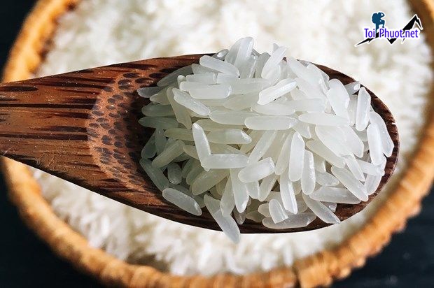 Top cửa hàng gạo gần đây chất lượng Tây Ninh cực tươi xốp
